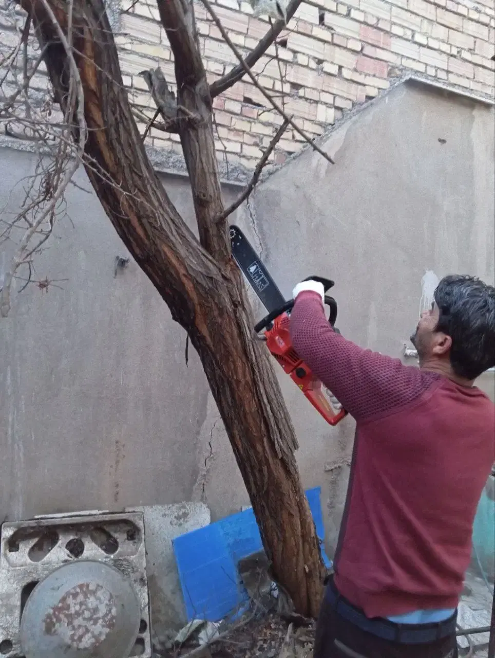 سم پاشی باغبانی درخت کاری سمپاشی شته آفت100%تضمینی|خدمات باغبانی و درختکاری|تهران, نیاوران|دیوار