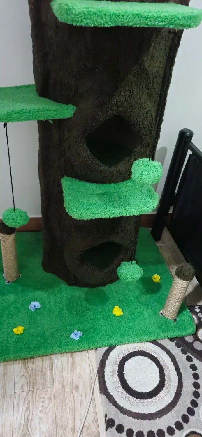 اسکرچر یا خانه گربه|لوازم جانبی حیوانات|محمدیه-قزوین, |دیوار