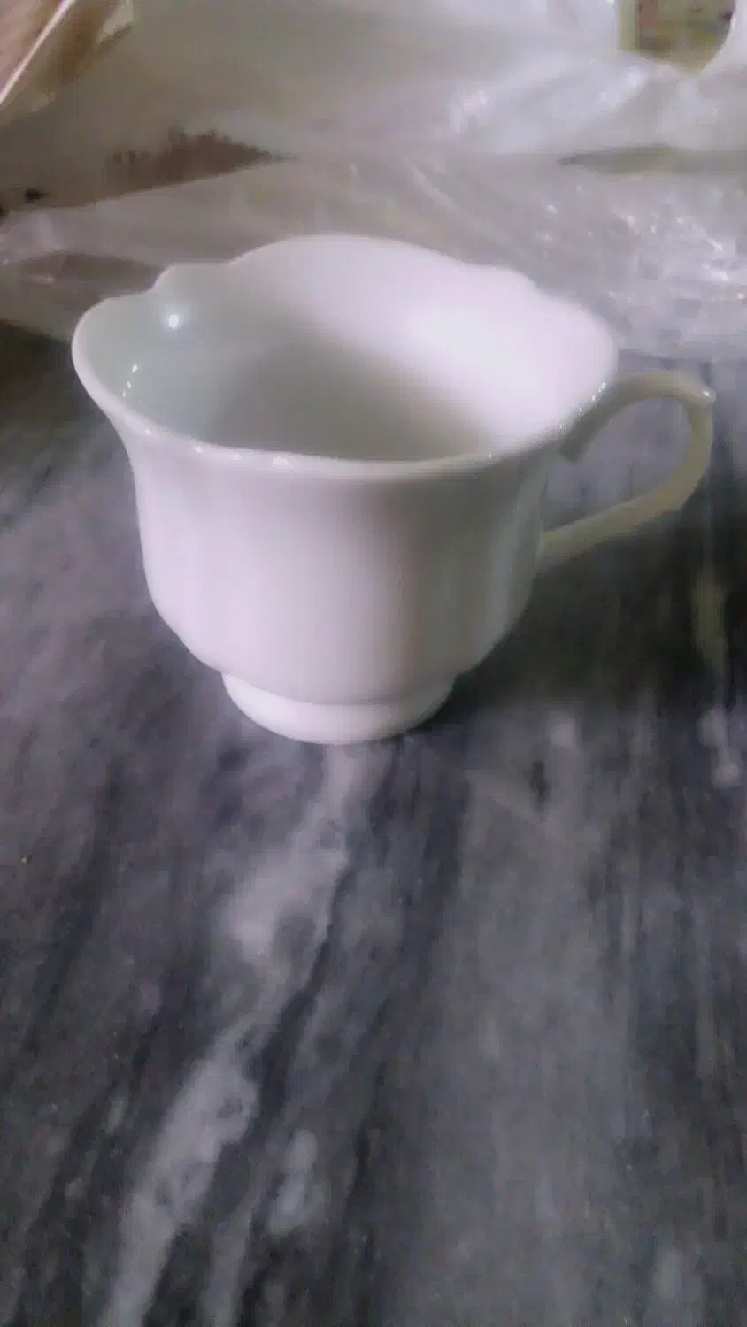 ظروف و فنجان|ظروف سرو و پذیرایی|رشت, حمیدیان|دیوار