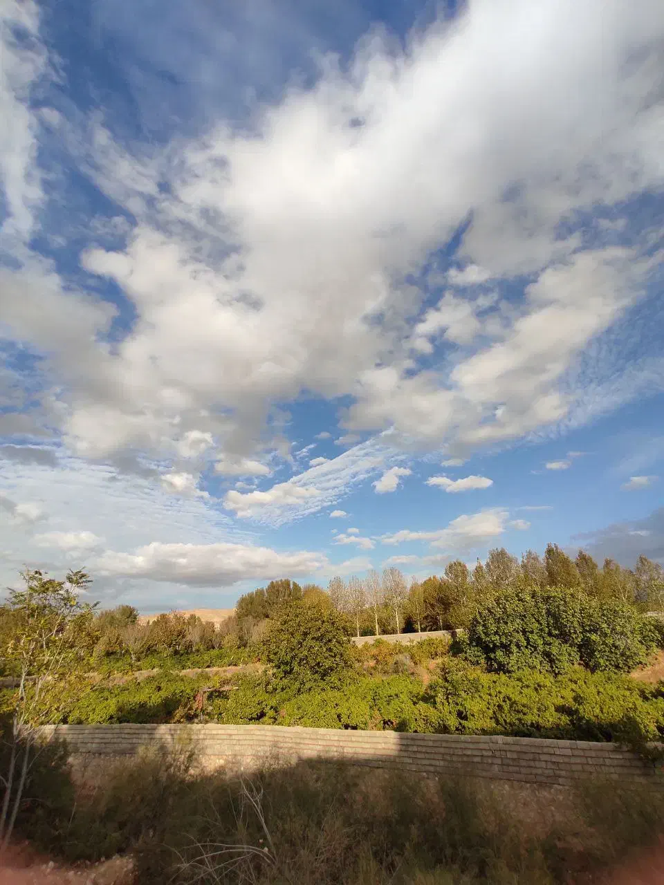 مشاوره زناشویی|فعالیت داوطلبانه|لواسان, |دیوار