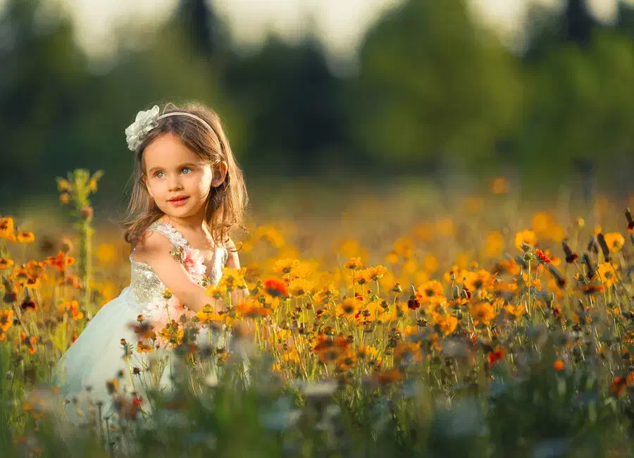 آموزش عکاسی و ادیت با موبایل|خدمات پذیرایی، مراسم|بندر گناوه, |دیوار