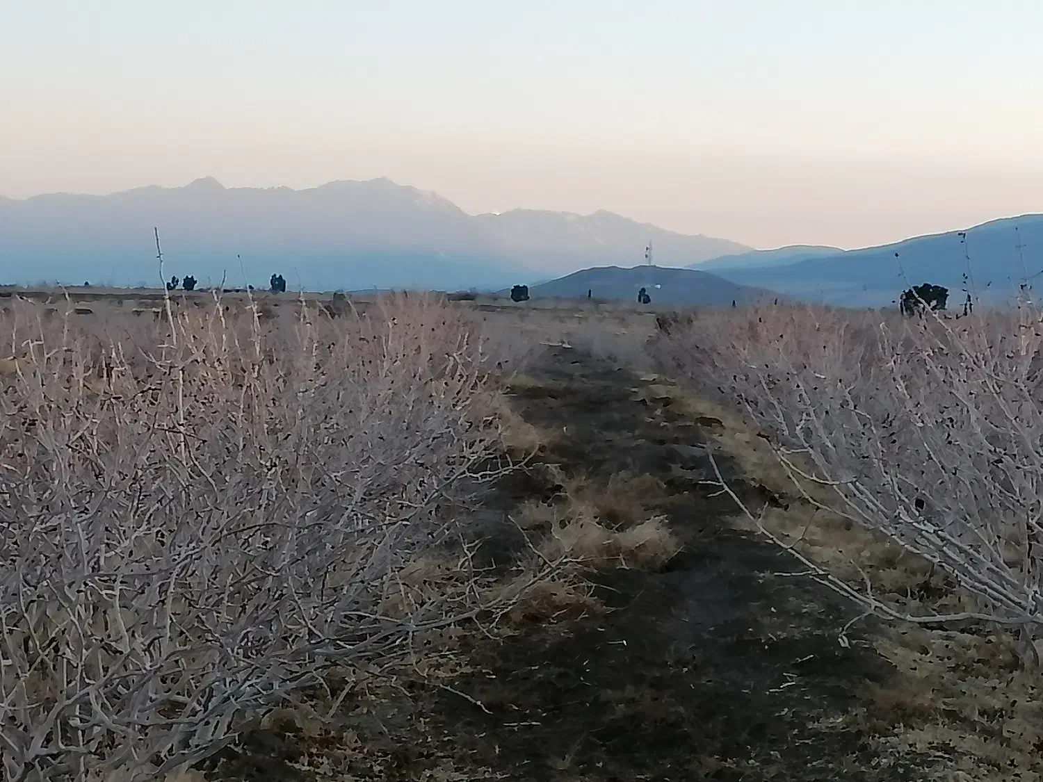 1هکتار زمین پسته ابارق سروستان|فروش زمین و ملک کلنگی|دهبکری, |دیوار