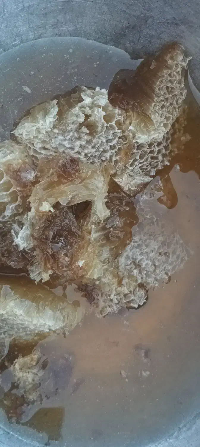 عسل گلوله تمیزدرجه یک درمانی وحشی|خوردنی و آشامیدنی|دهلران, |دیوار