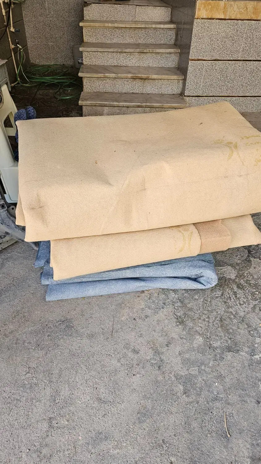 موکت|موکت|گرگان, |دیوار