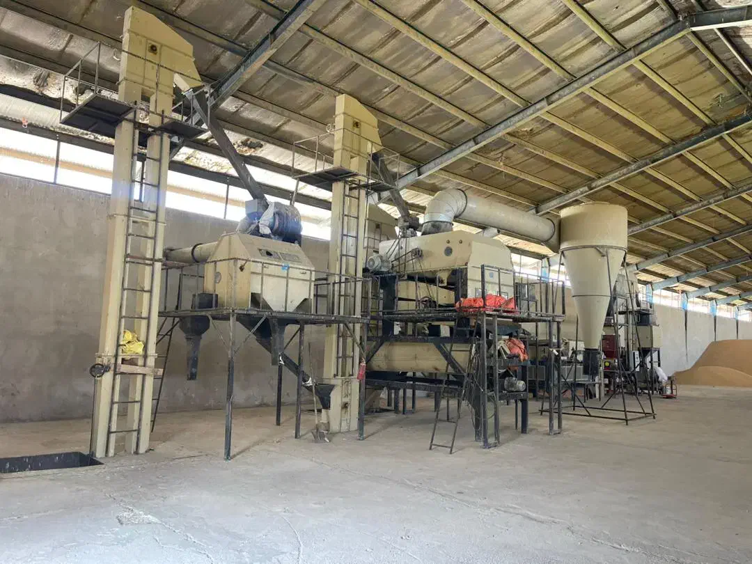 فروش بذر اصلاح شده ارقام پیشگام ،حیدری،زرینه|خدمات باغبانی و درختکاری|اقلید, |دیوار