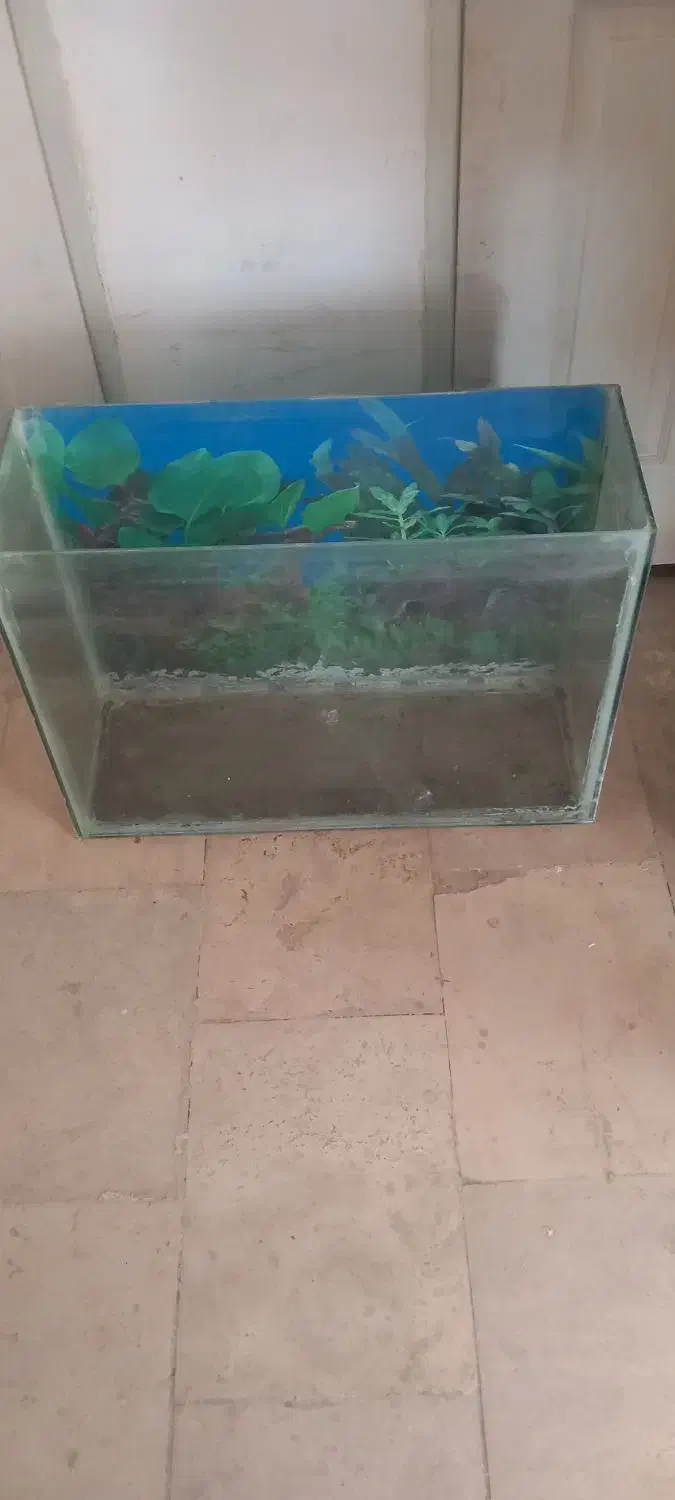 آکواریوم با تمام وسایل|لوازم جانبی حیوانات|سهند, |دیوار