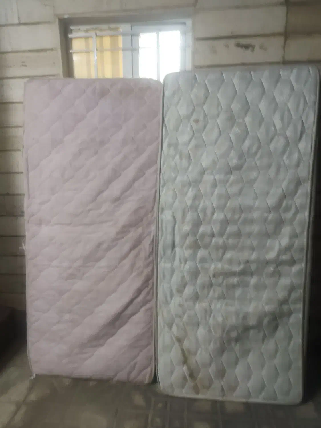 خوش خواب یک نفر 500 تومن یک عدد دیگر 800 تومن|تشک تختخواب|شیراز, فرگاز|دیوار