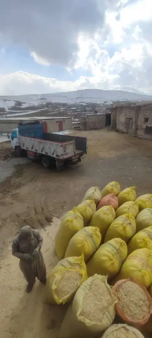 کاه درجه یک نرم ودرشت ارسال از کردستان|عمدهفروشی|آمل, |دیوار