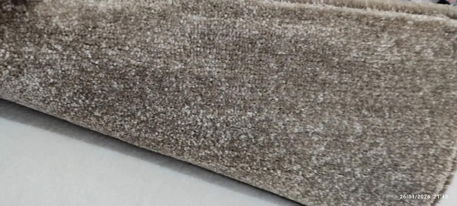 پالاز موکت نو|موکت|دزفول, |دیوار