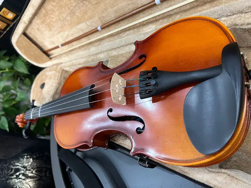 ویالن تی اف ۳/۴|ویولن|رشت, فلسطین|دیوار