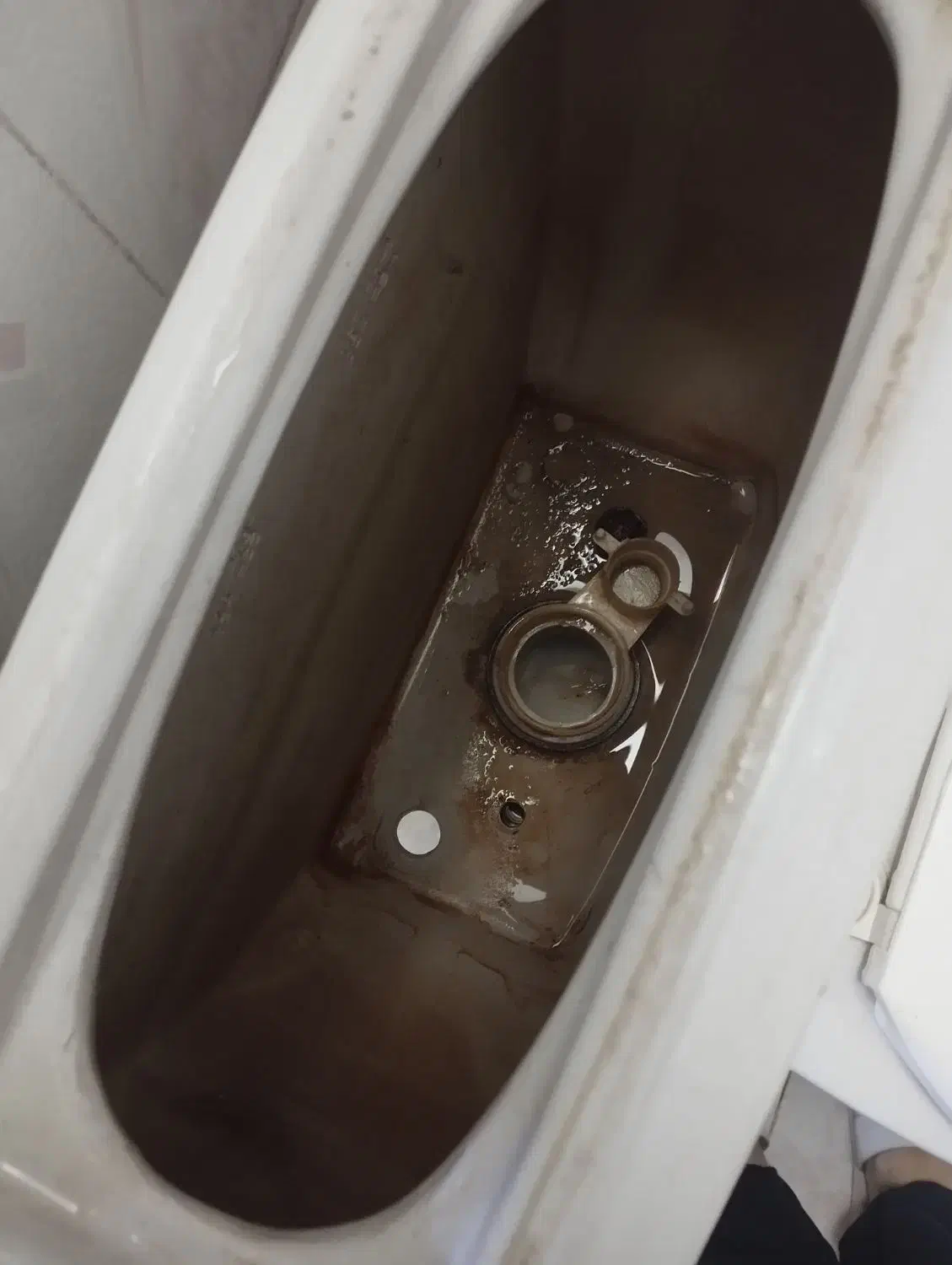 فروش توالت فرنگی|لوازم سرویس بهداشتی|مشهد, تربیت (صدف)|دیوار