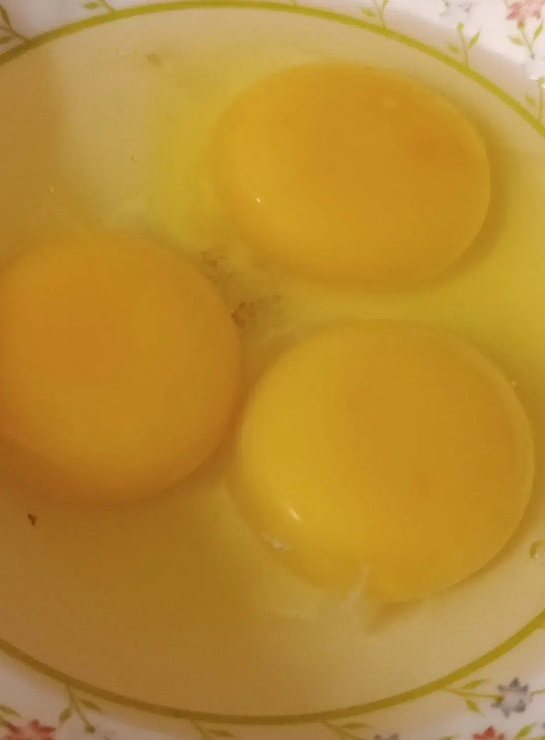 سفیده تخم مرغ و مایه تخم مرغ تازه و بهداشتی|خوردنی و آشامیدنی|فردیس, فردیس|دیوار