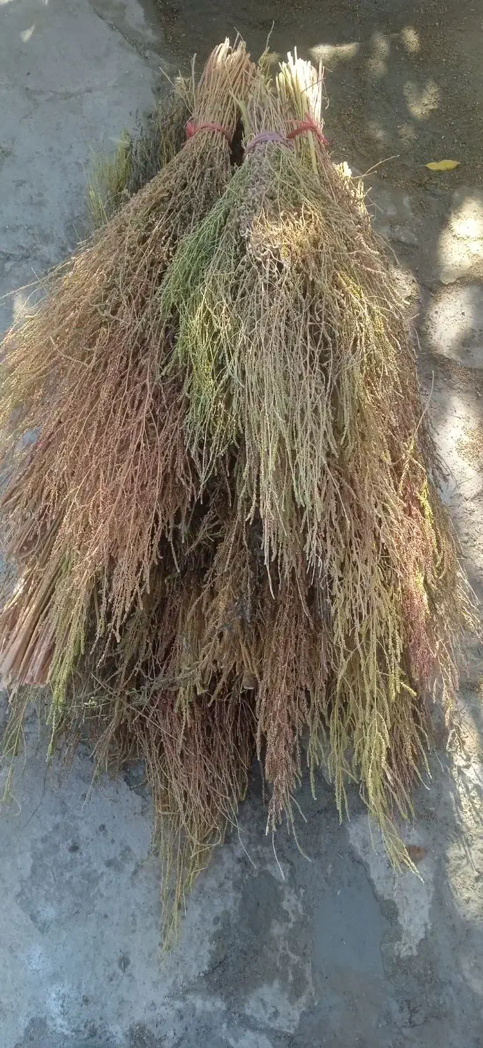 جارومحلی|لوازم نظافت|ملایر, |دیوار