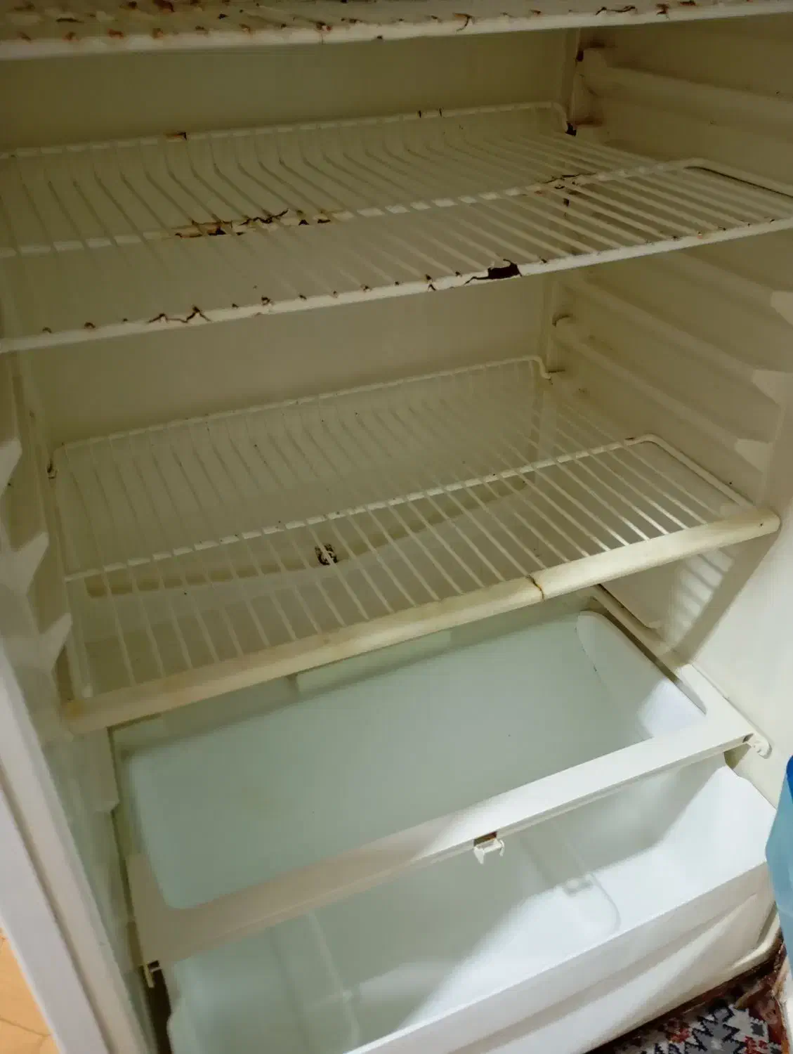 5 میلیون تومان|یخچال و فریزر|اهواز, پردیس دو|دیوار