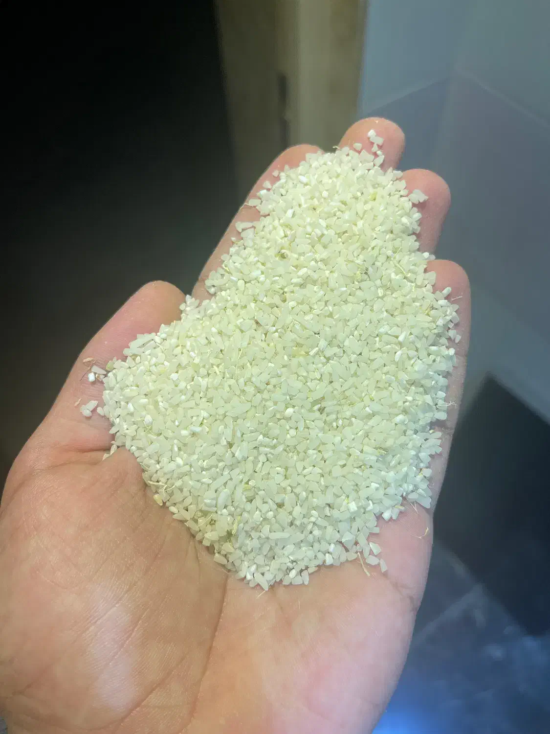 نیم دانه طارم هاشمی کیلویی ۱۶۵|خوردنی و آشامیدنی|محمودآباد, |دیوار