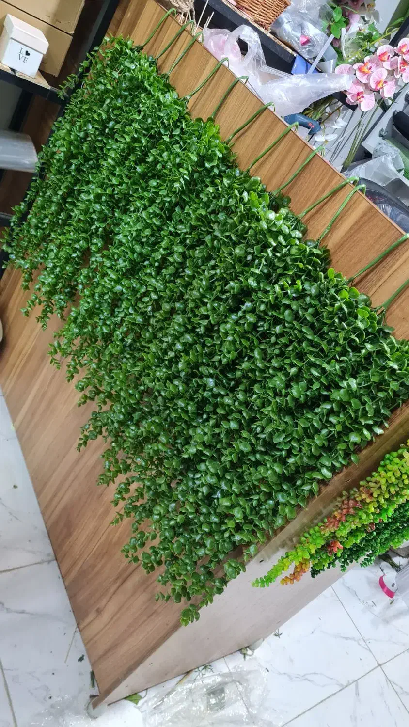 شمشاد آویز     .حراجی.|گل مصنوعی|درگزین, |دیوار