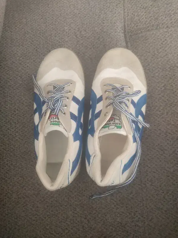 کفش های فوتسالی سالنی و آسفالت|کیف، کفش، کمربند|اصفهان, باغ فدک|دیوار