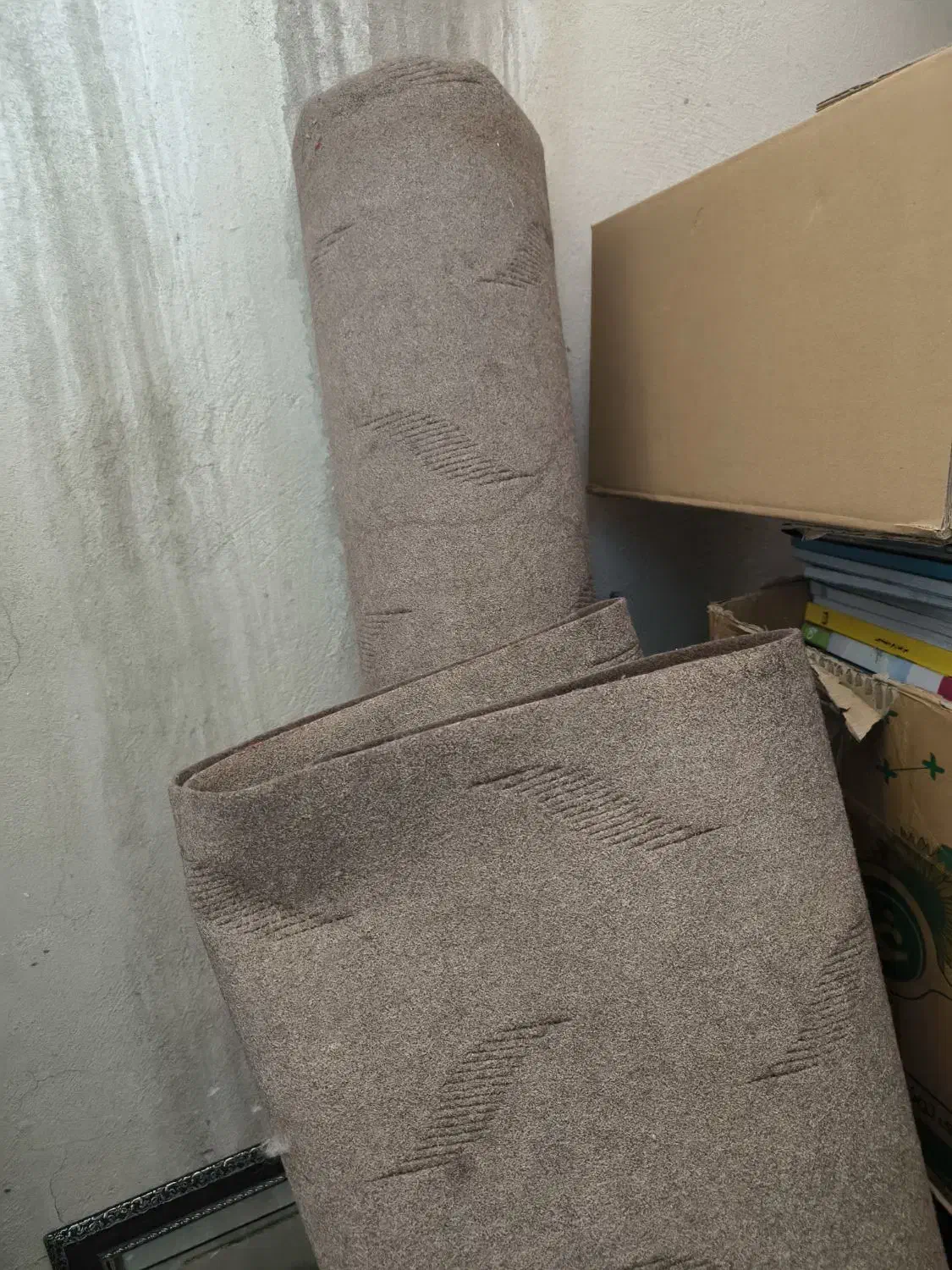 موکت|موکت|همدان, |دیوار