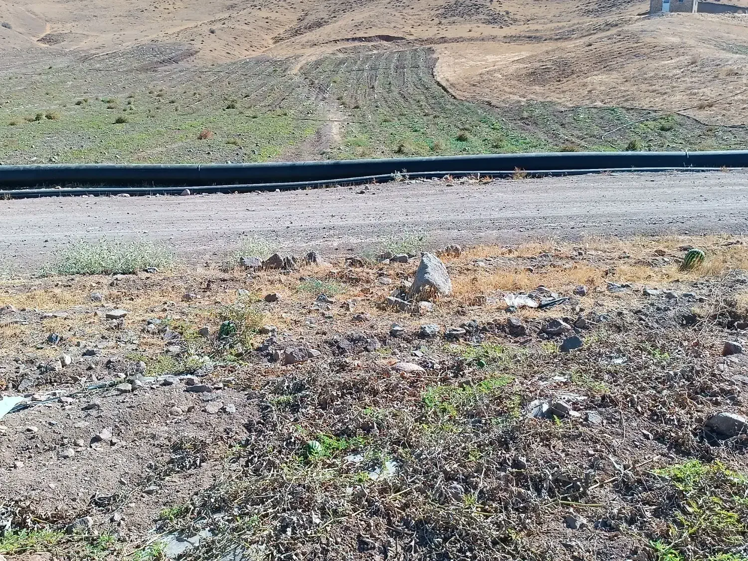 فروش زمین کشاورزی با اب|اجارهٔ دفتر صنعتی، کشاورزی، تجاری|میانه, |دیوار