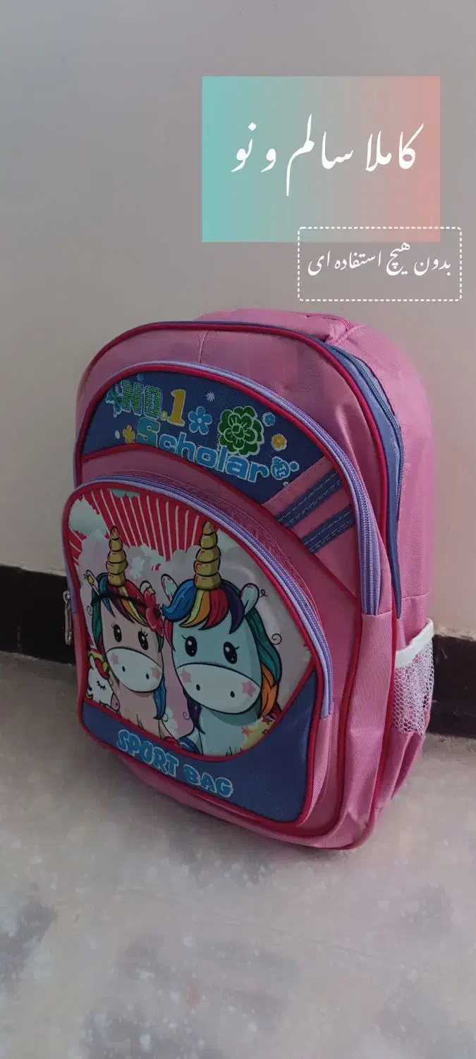 ۳۱۱|کیف، کفش، کمربند|جهرم, |دیوار