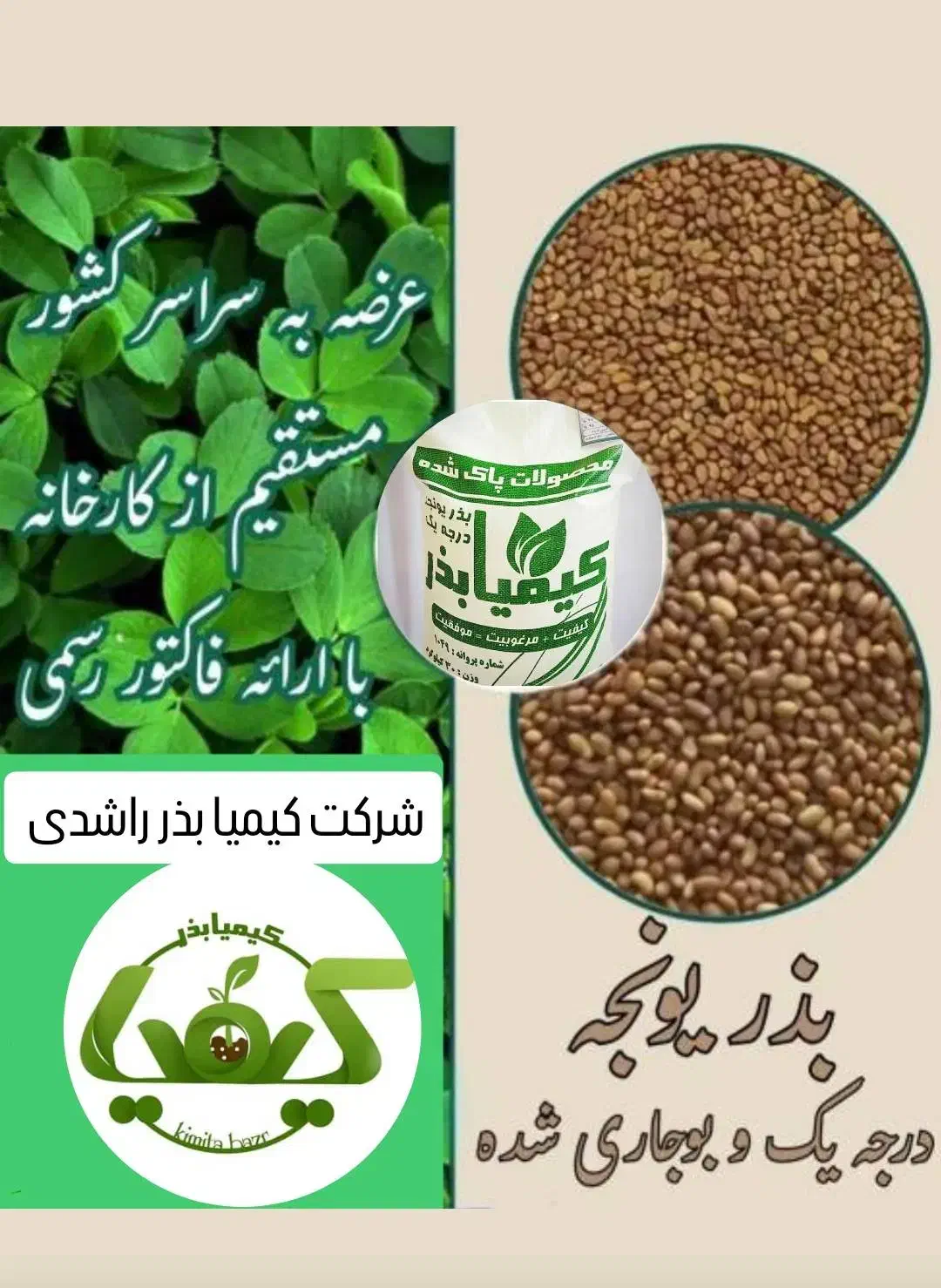 فروش انواع بذر یونجه سردسیر و گرمسیر و معتدل|عمده‌فروشی|ایلخچی, |دیوار