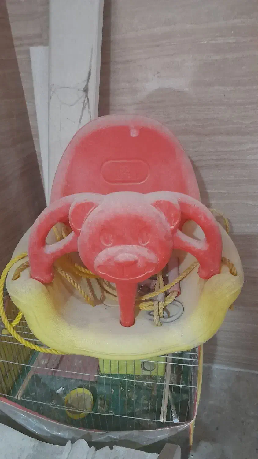 تاب|اسباببازی|برازجان, |دیوار