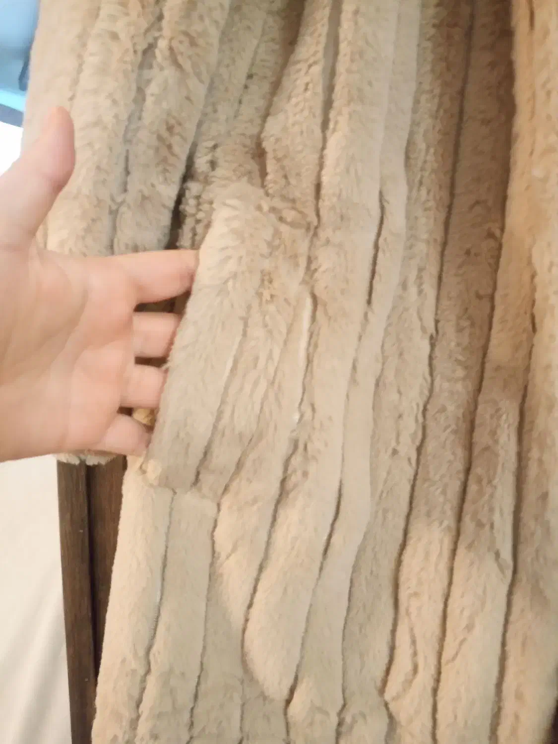 پالتو ترک|لباس|ارومیه, |دیوار