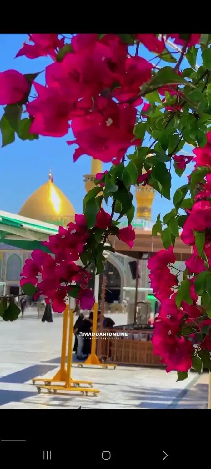 کاروان کربلا با اتوبوس از نهاوند ۲۱ مهرماه|تور و چارتر|نهاوند, |دیوار