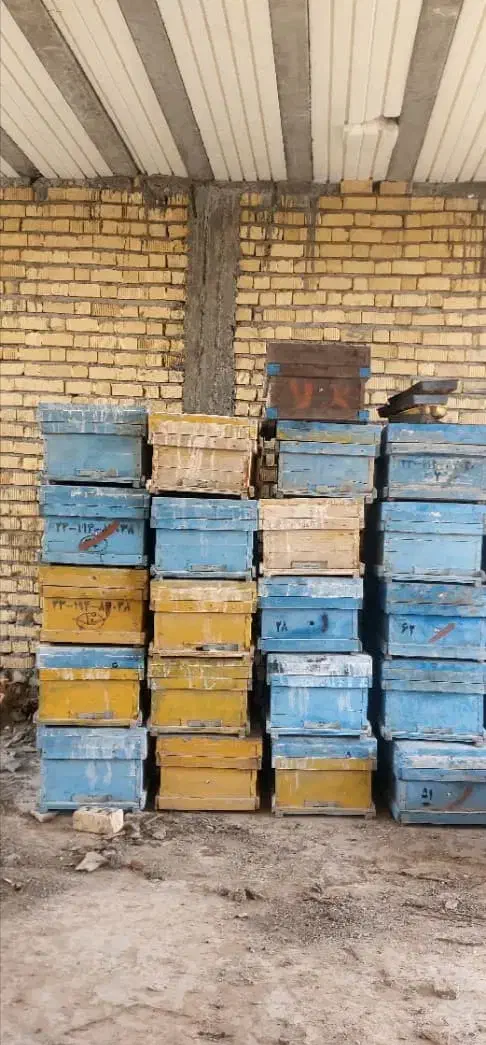 کندو زنبور|حیوانات مزرعه|مرودشت, فاز اول شهرک فرهنگیان|دیوار