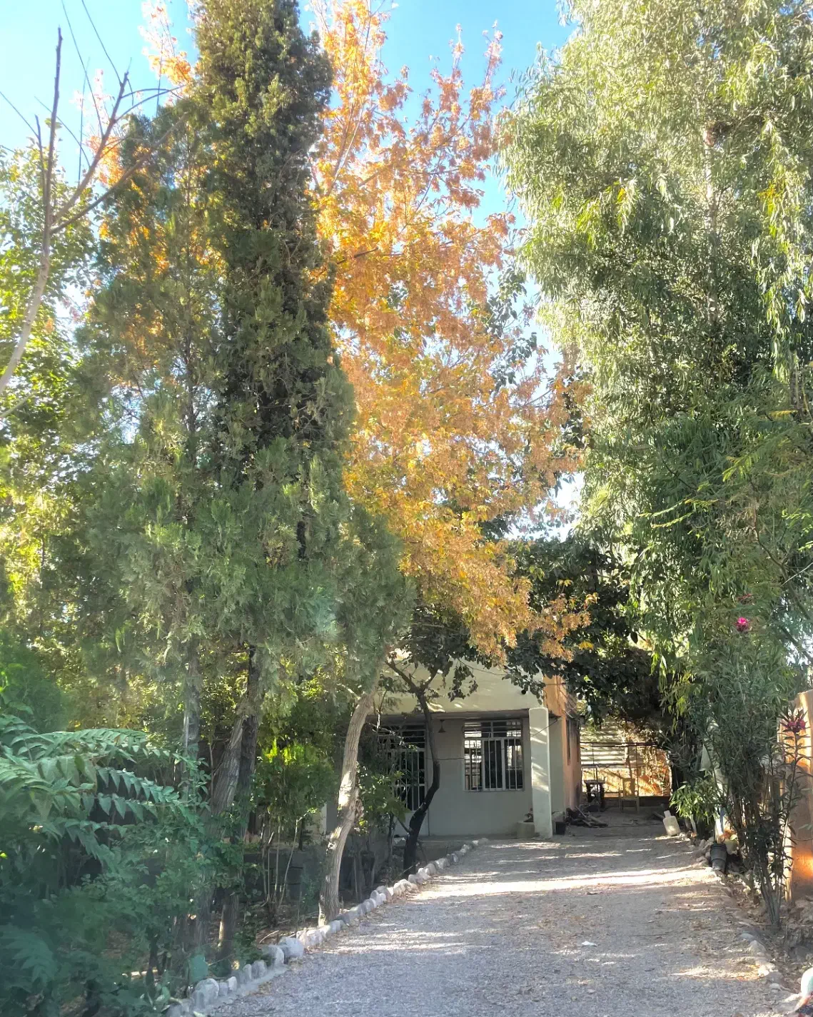 اجاره روزانه باغ|اجارهٔ کوتاه‌مدت ویلا و باغ|ماهان, |دیوار