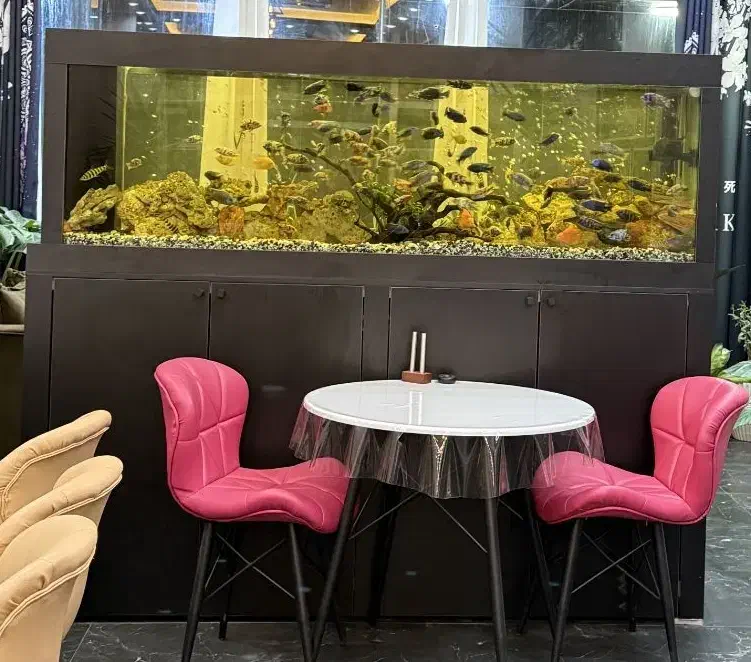 آکواریوم ۲ متری همراه چارچوب فلزی و کمد ام دی اف|ماهی|لنگرود, |دیوار