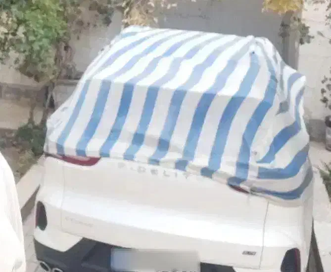 فروش فیدلیت الیت ۷نفره تحویل روز|خودرو سواری و وانت|بیرجند, |دیوار