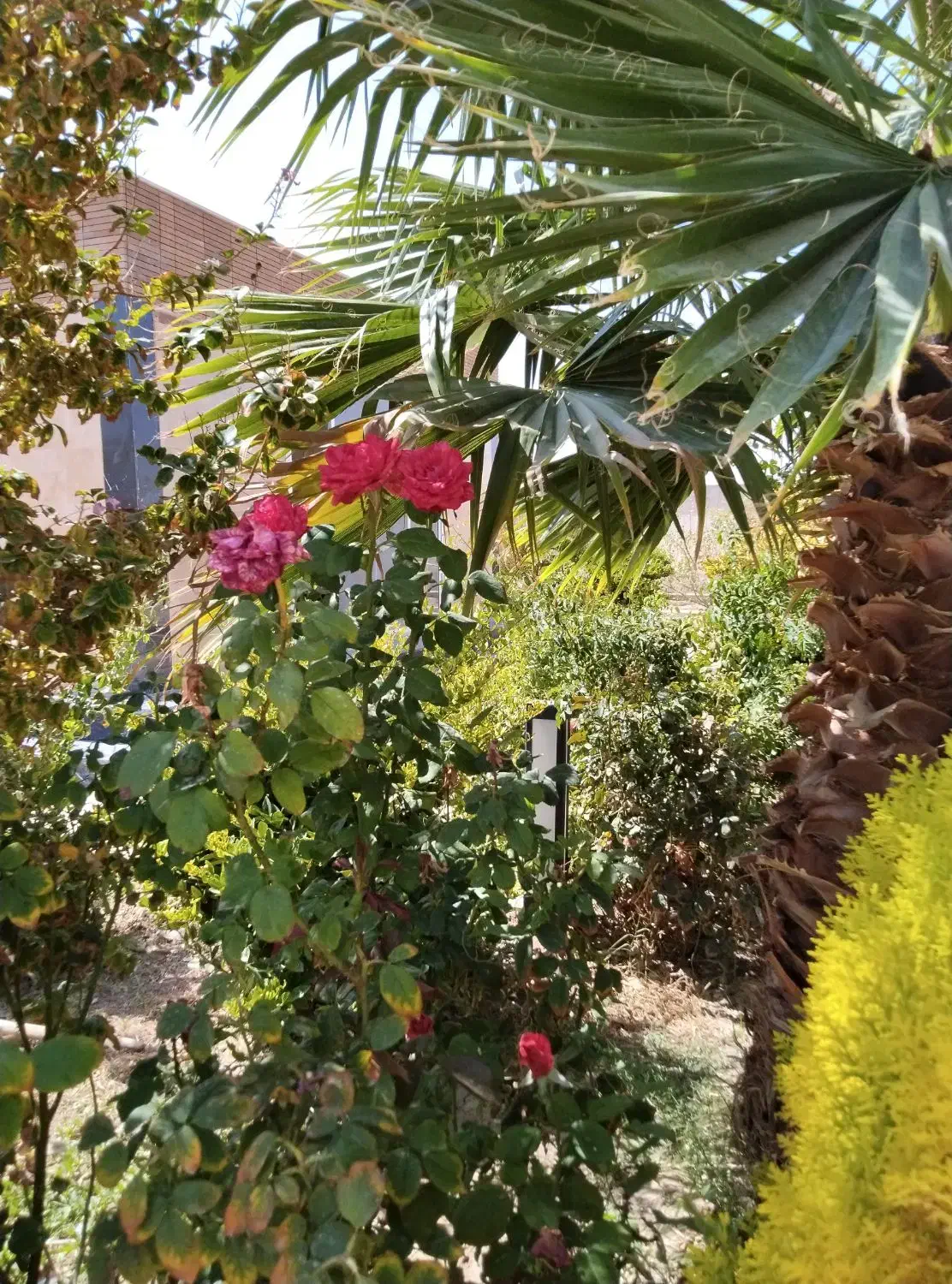 باغ عالی|فروش خانه و ویلا|اصفهان, براآن شمالی|دیوار