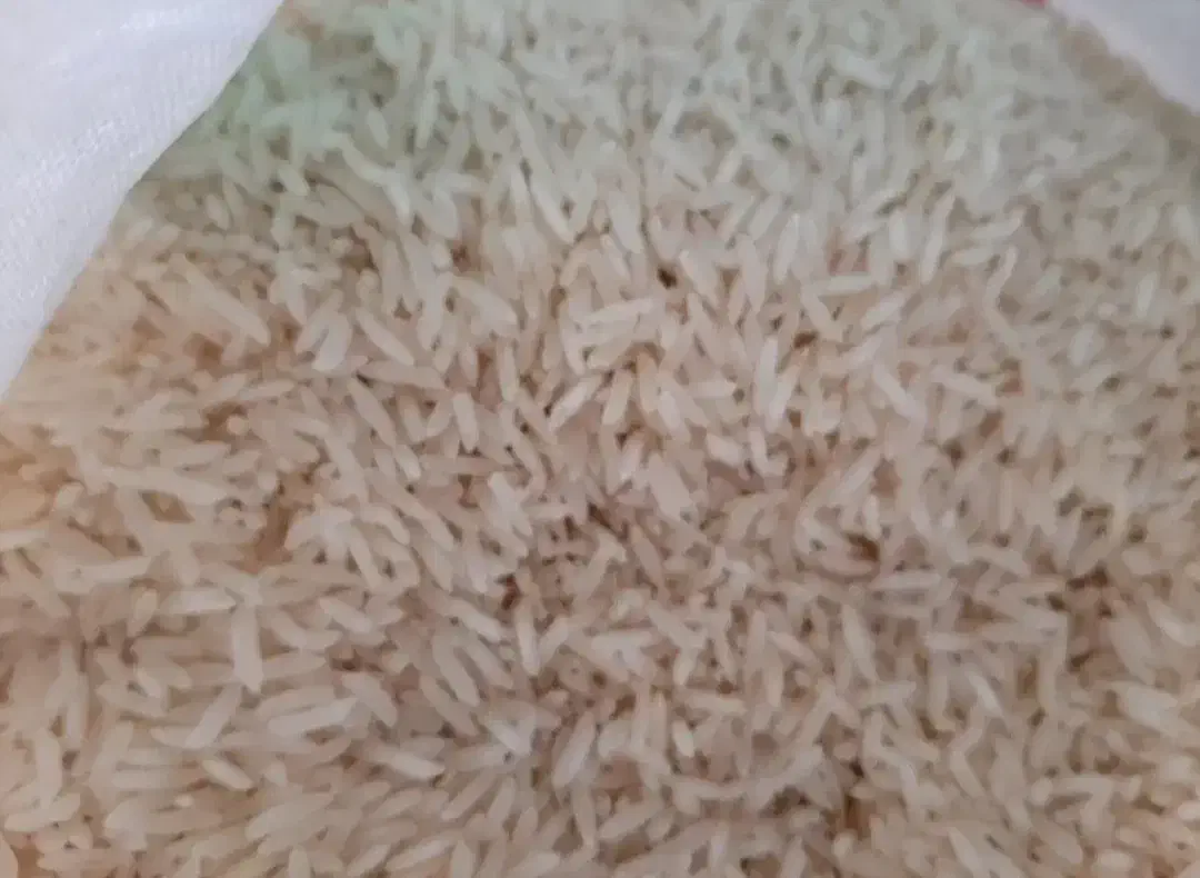 برنج طارم هاشمی|خوردنی و آشامیدنی|ری, فیروزآبادی|دیوار