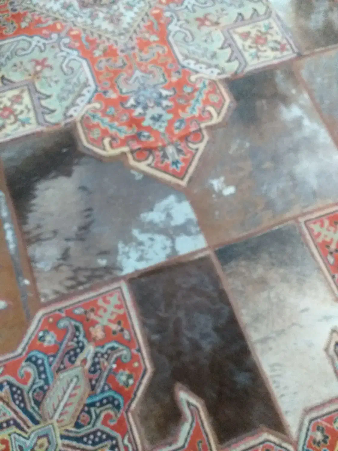 قالی|فرش|پیشوا, |دیوار