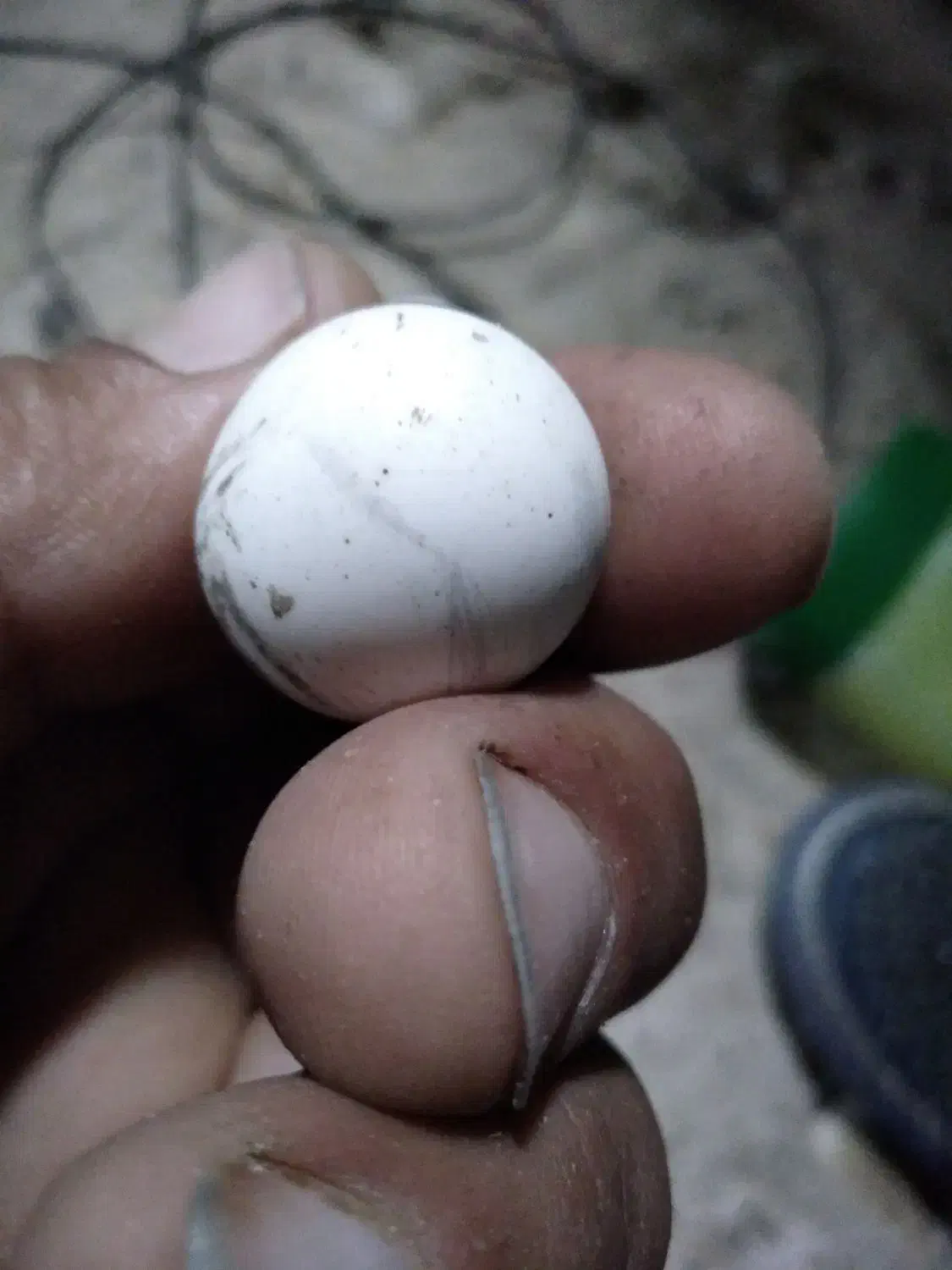 سنگ قدیمی|کلکسیون اشیاء عتیقه|بروجن, |دیوار