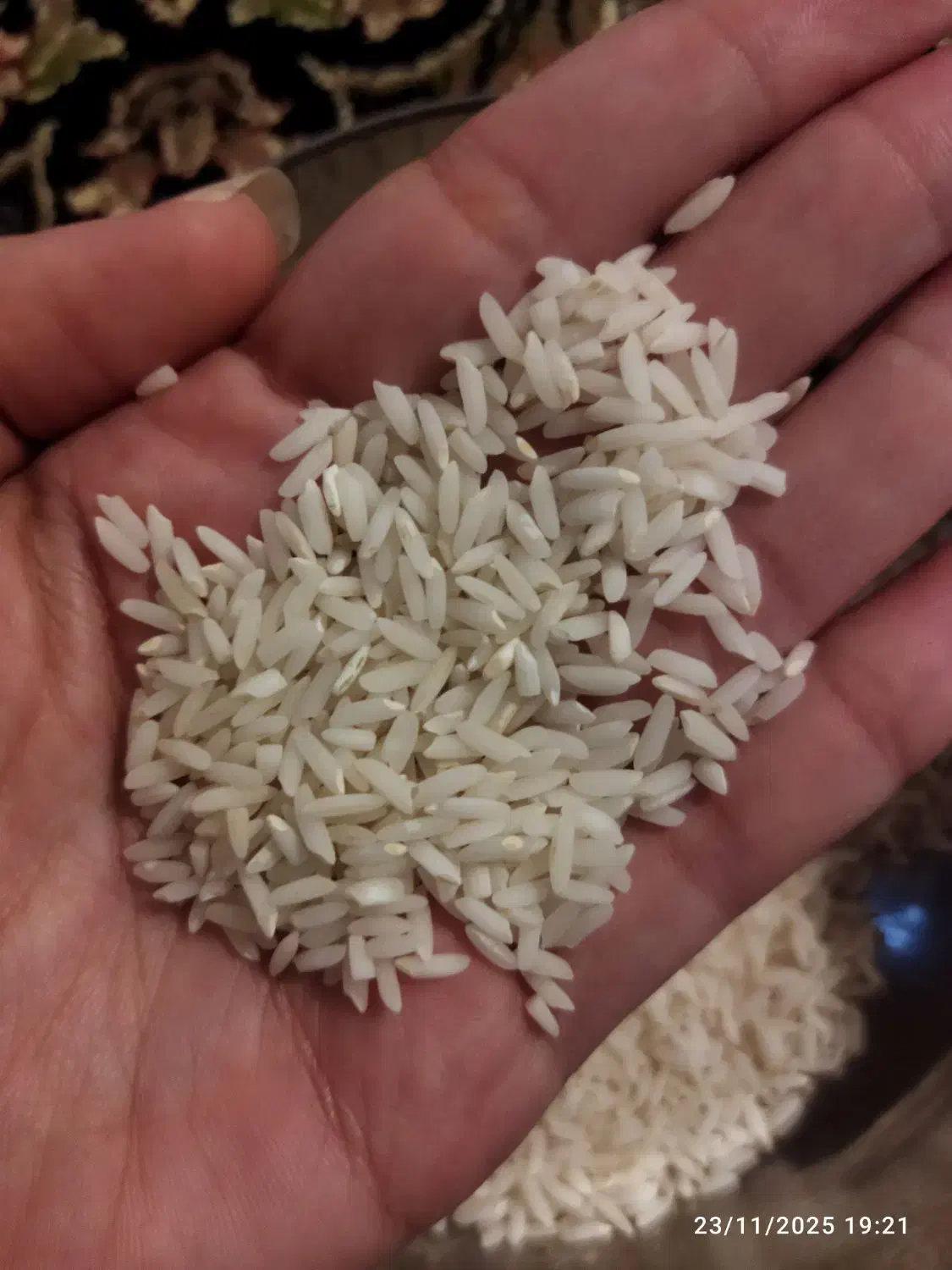 برنج محلی فروش فوری|خوردنی و آشامیدنی|سیلاخور, |دیوار