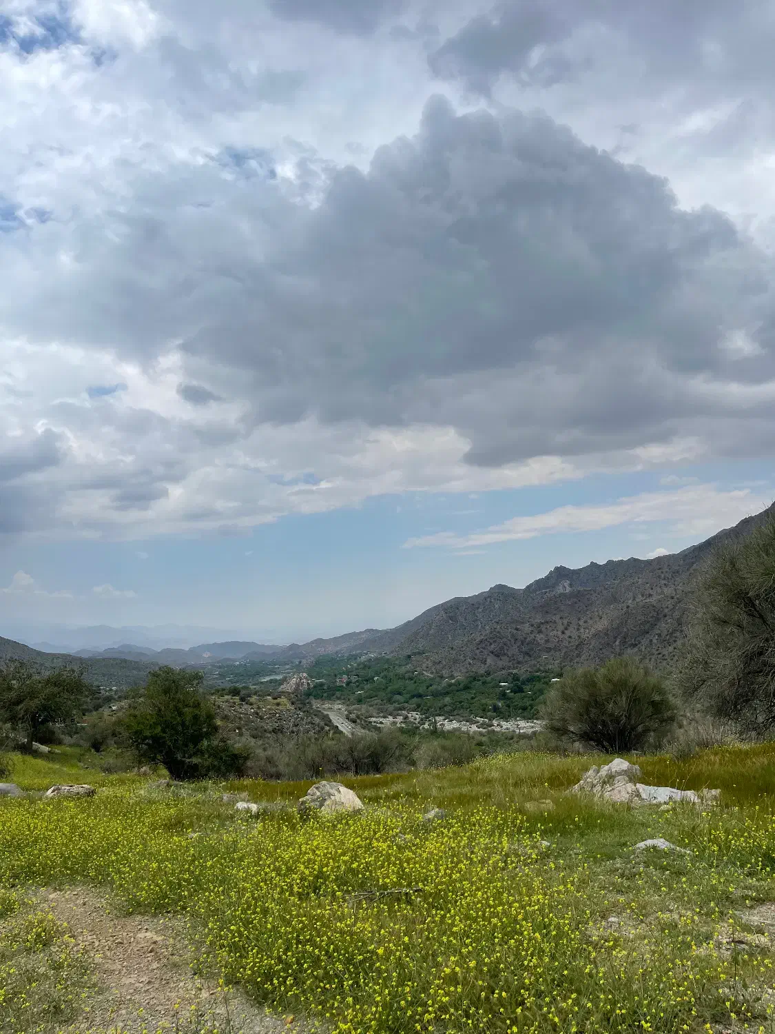 فروش زمین دلفارد|فروش زمین و ملک کلنگی|درب بهشت, |دیوار