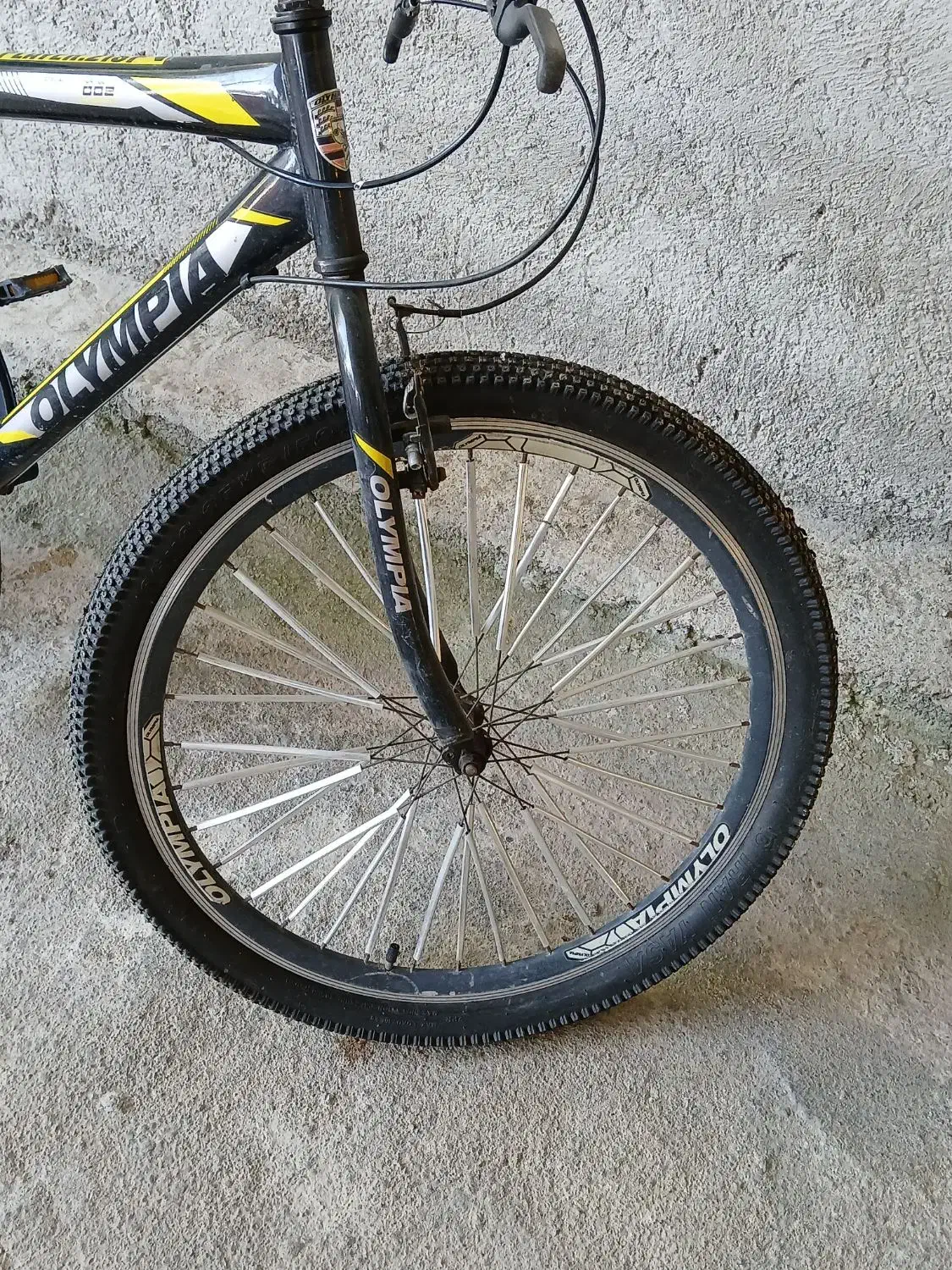 دوچرخه المپیا۲۶ پسرانه|دوچرخه، اسکیت، اسکوتر|سنگر, |دیوار