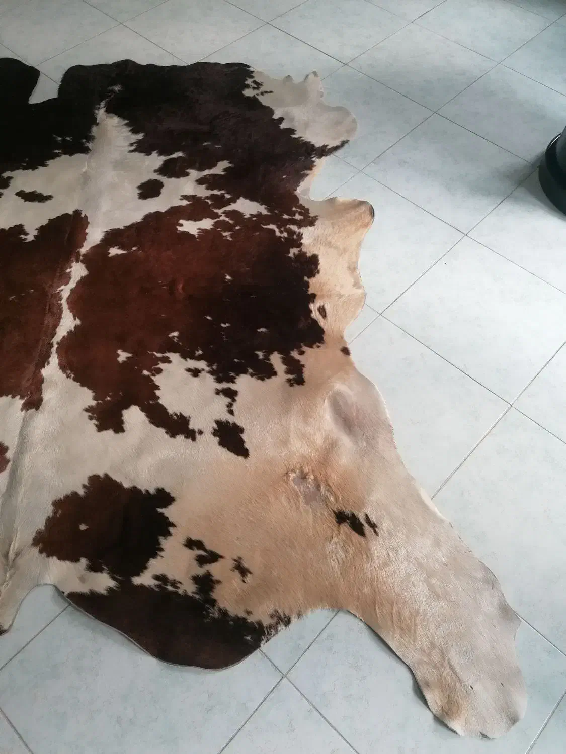 پوست گاو|فرش|مشهد, سجاد شهر|دیوار