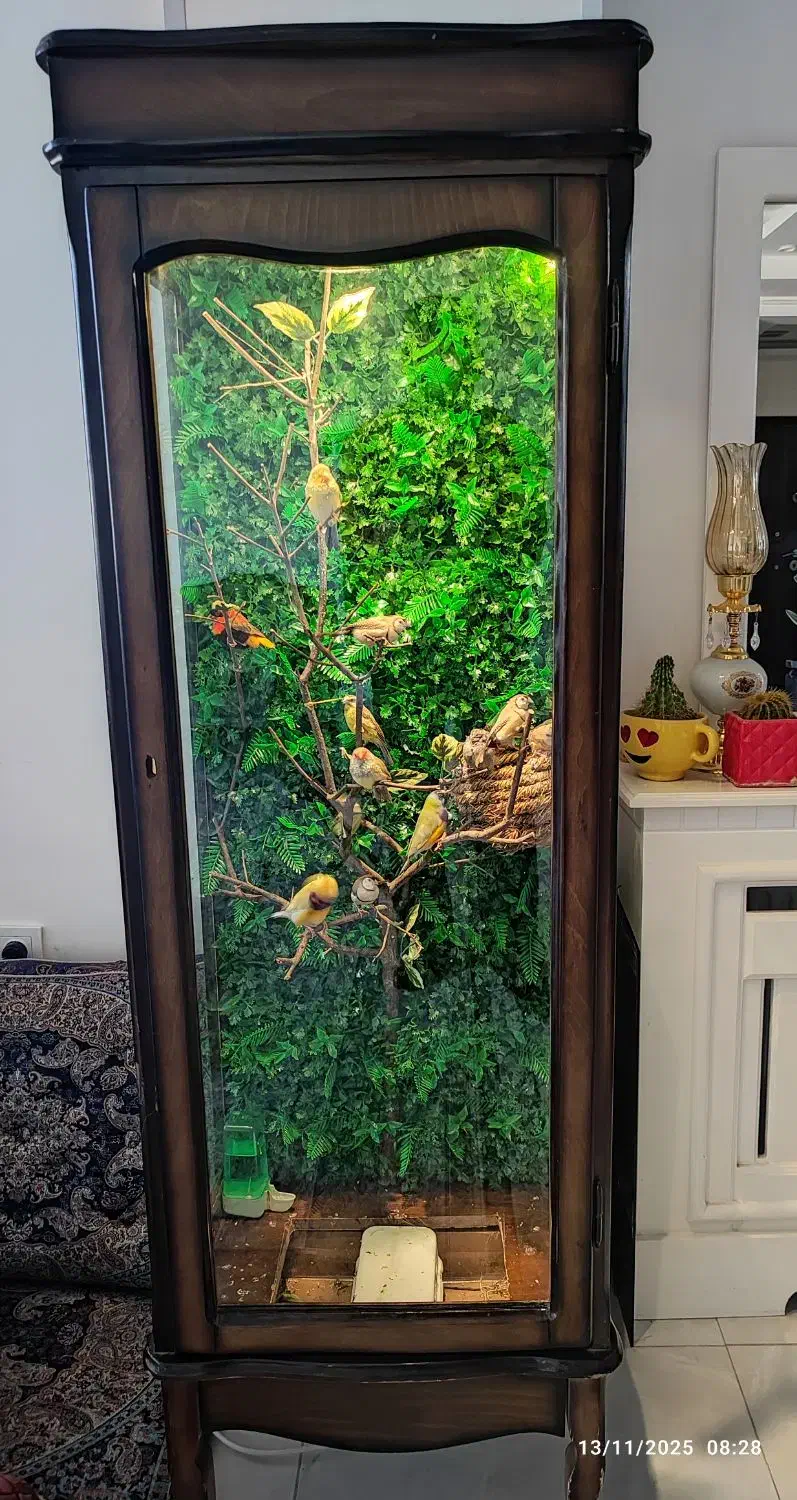 کلکسیونی از فنج در زیباترین قفس|پرنده|الوند, |دیوار