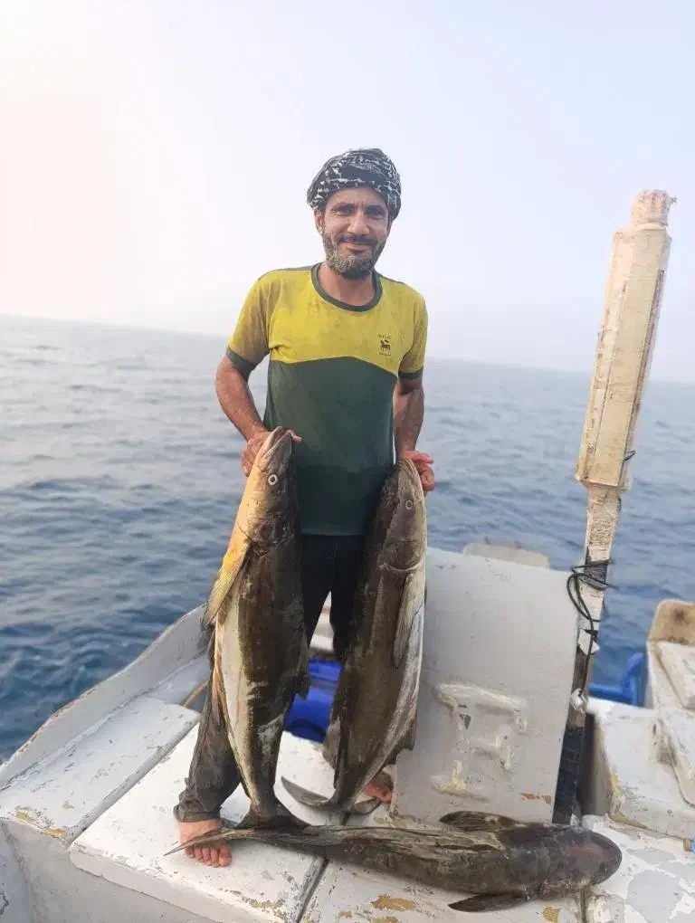 صید ماهی درخلیج فارس|تور و چارتر|بندرلنگه, |دیوار