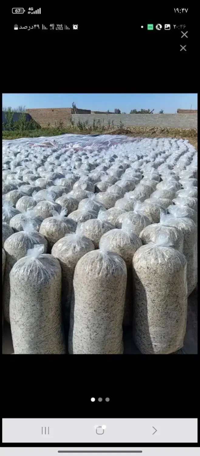 چغندر توفالع|لوازم جانبی حیوانات|مرند, |دیوار