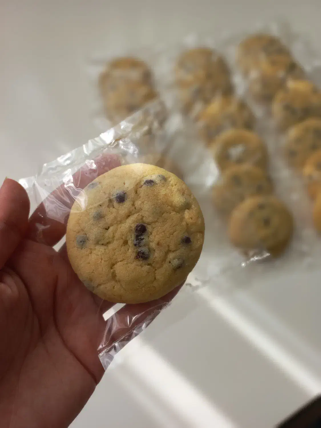 کوکی شکلات چیپسی|خوردنی و آشامیدنی|مشهد, امیریه|دیوار