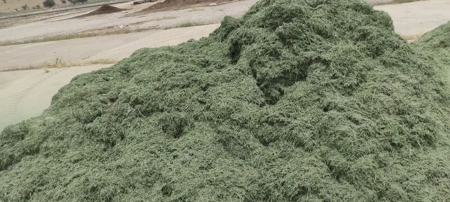 یونجه خردشده وپرس|حیوانات مزرعه|سپیدان, |دیوار