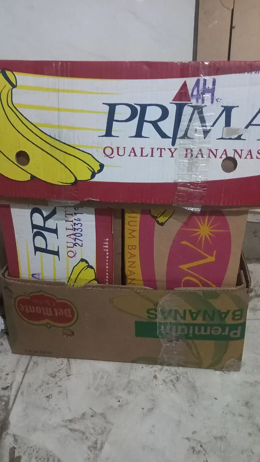 کارتن موزی|عمده‌فروشی|پاکدشت, پاکدشت (مامازند)|دیوار