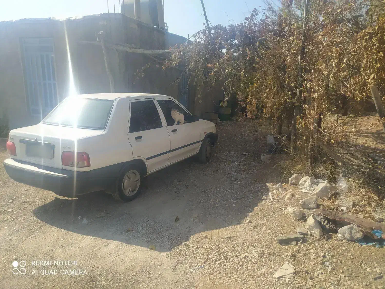 فروش پراید 96|خودرو سواری و وانت|یاسوج, |دیوار