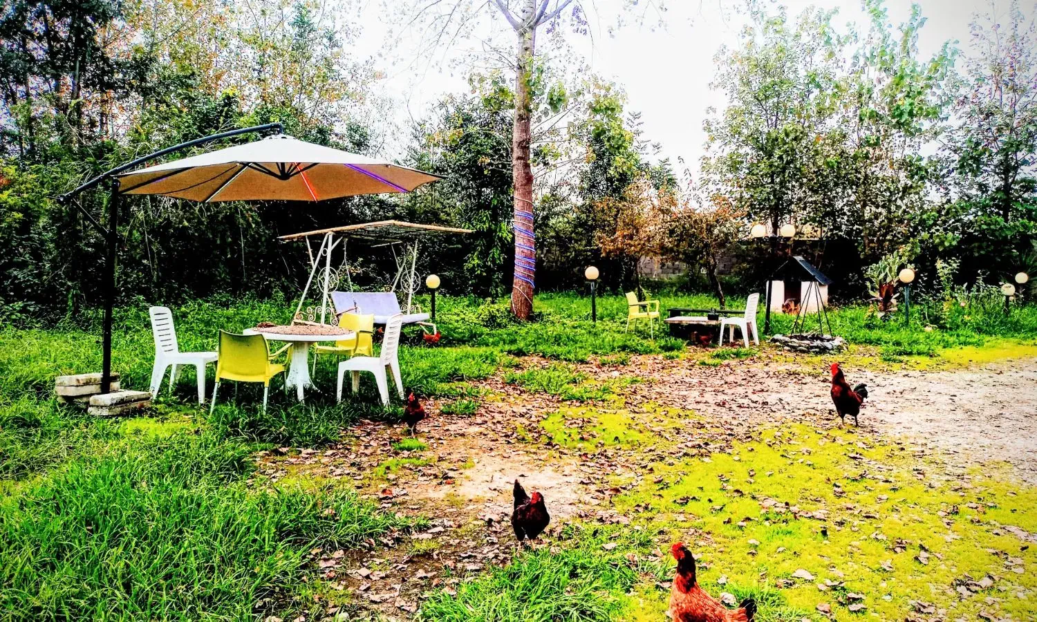 *سوییت *در باغ ویلای زیبای ۳۲۰۰ *متری|اجارهٔ کوتاهمدت آپارتمان و سوئیت|رشت, گلباغ نماز|دیوار