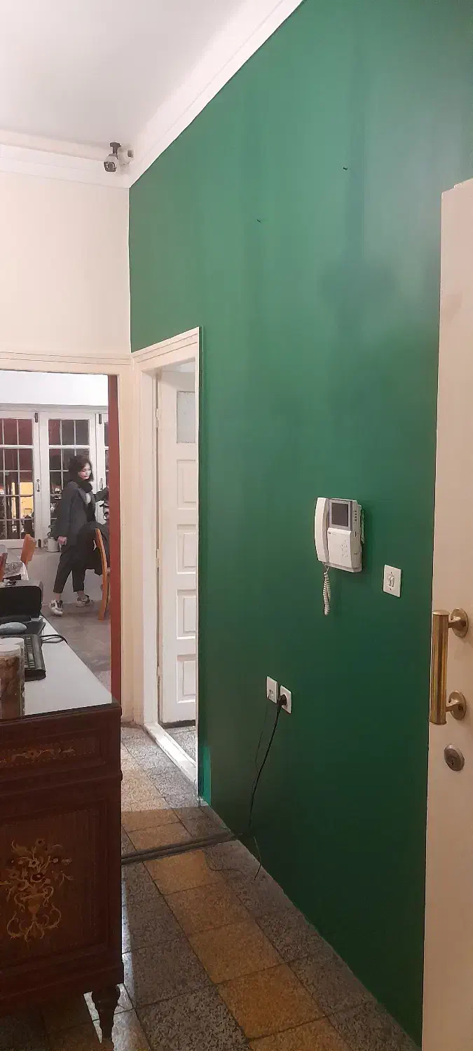 نقاشی ساختمان|خدمات پیشه و مهارت|سمنان, |دیوار