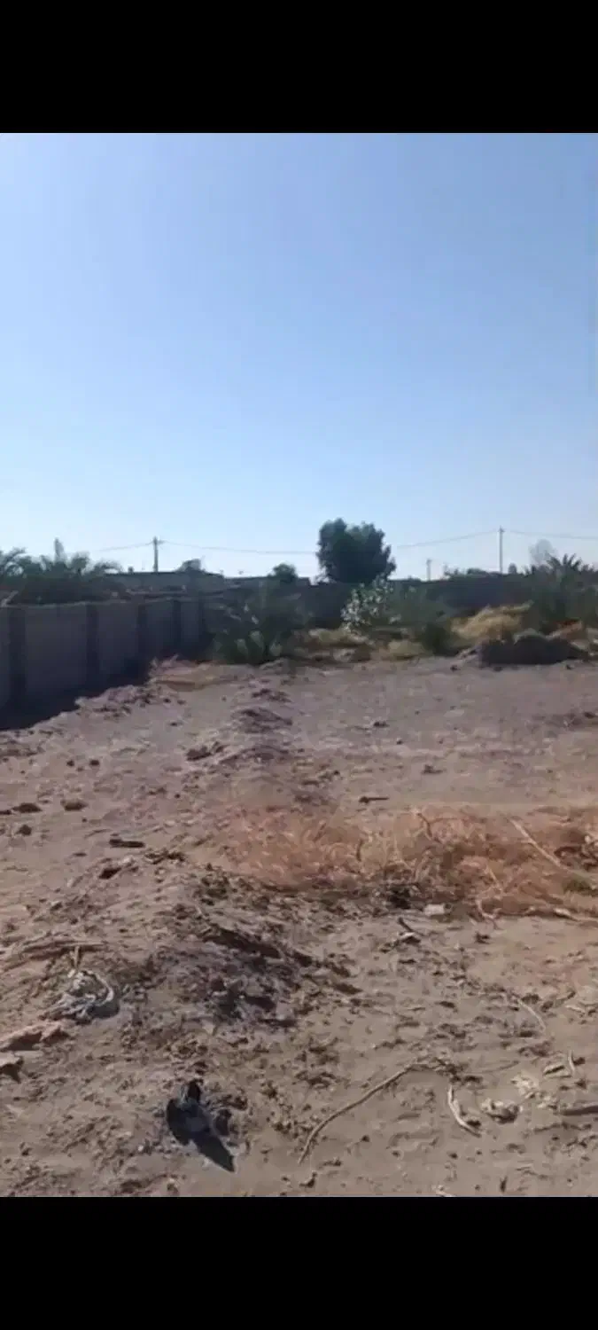 زمین  سکهور|فروش زمین و ملک کلنگی|نگین کویر, |دیوار